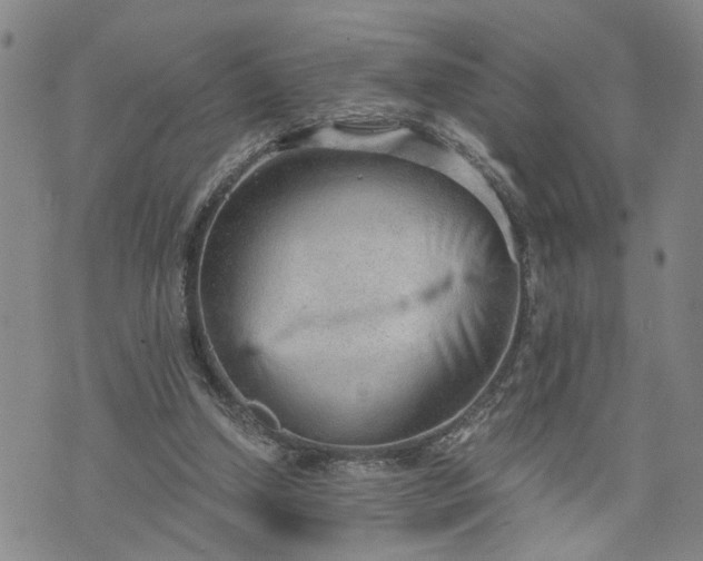 X0000076390250200610161147