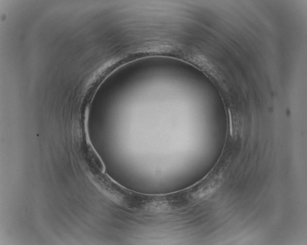 X0000076390252200610161147