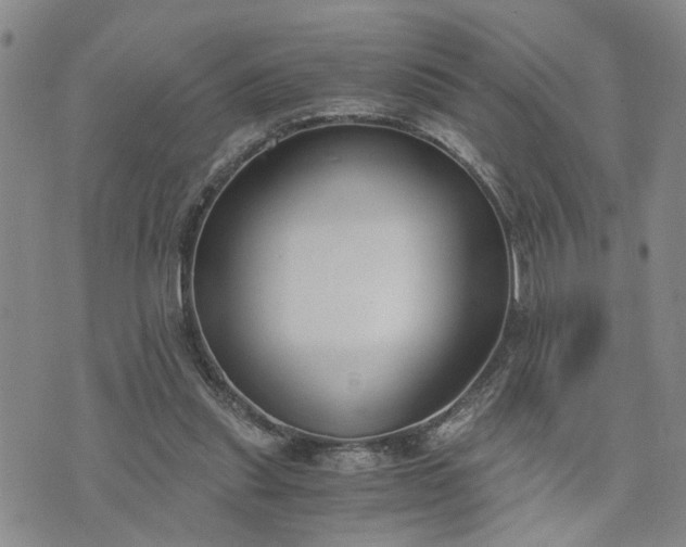 X0000076390253200610161147