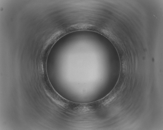 X0000076390254200610161147