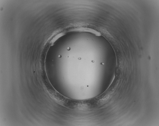 X0000076390256200610161147