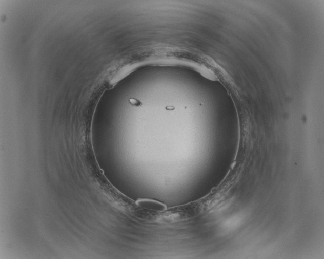 X0000076390257200610161147