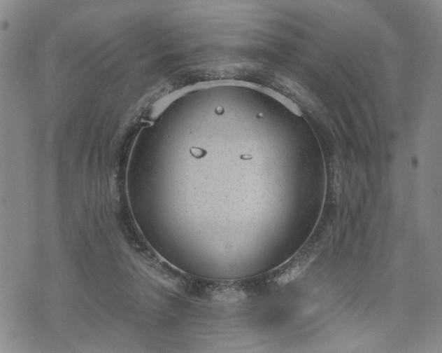 X0000076390258200610161147