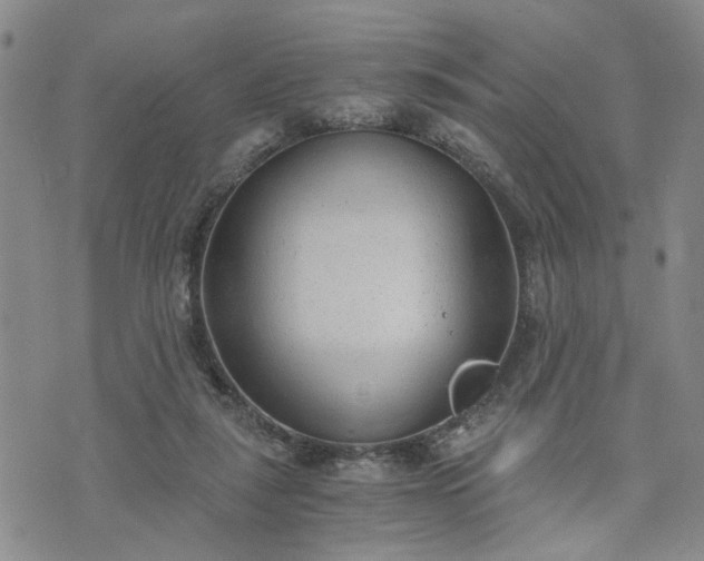 X0000076390259200610161147