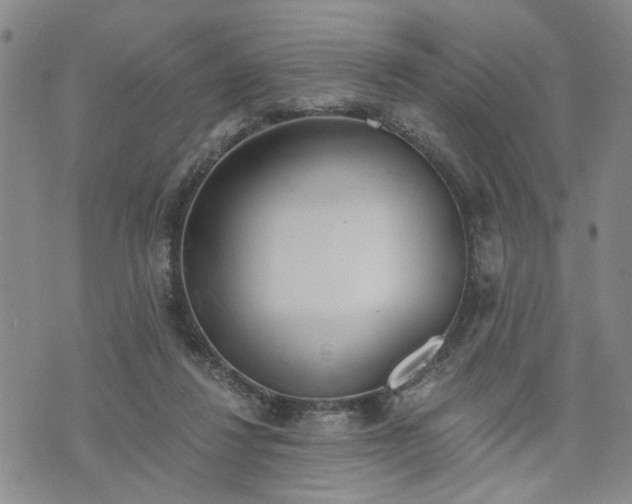 X0000076390260200610161147