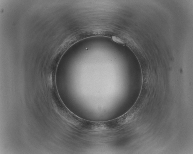 X0000076390262200610161147