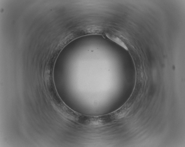 X0000076390263200610161147