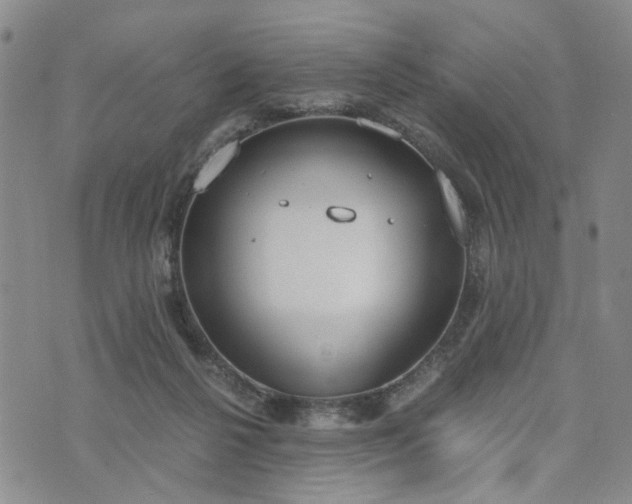 X0000076390264200610161147