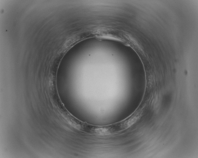 X0000076390265200610161147