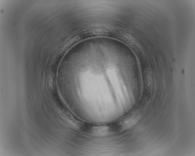 X0000076390266200610161147