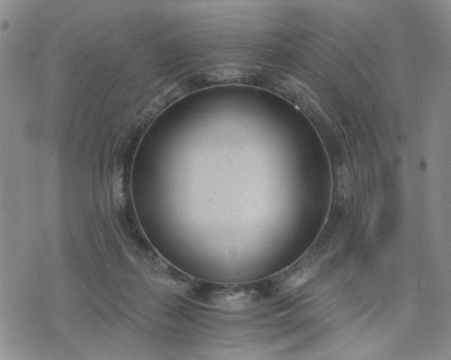 X0000076390267200610161147