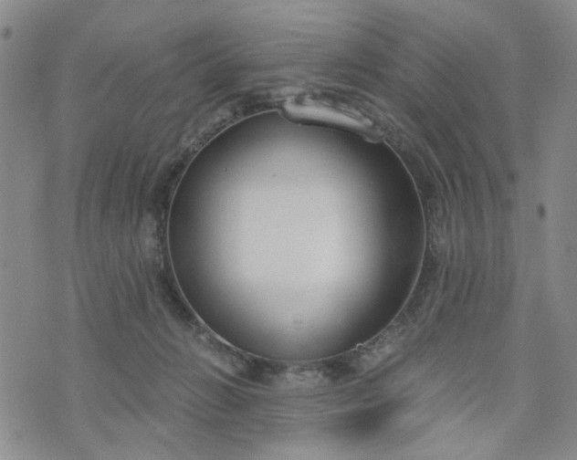 X0000076390270200610161147