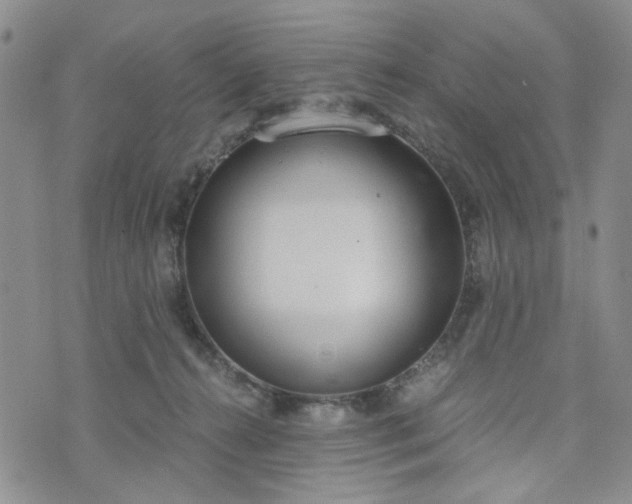 X0000076390272200610161148