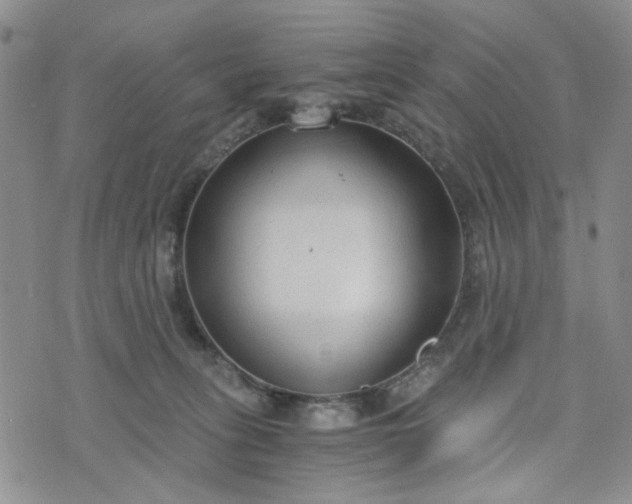 X0000076390275200610161148