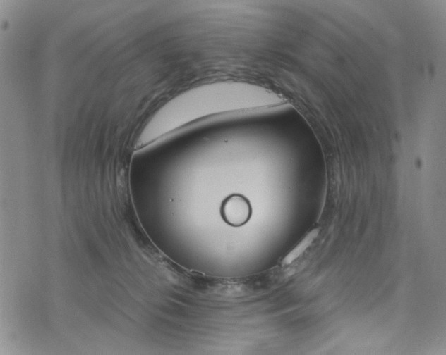 X0000076390276200610161148