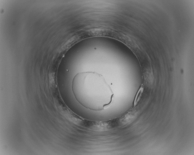 X0000076390278200610161148