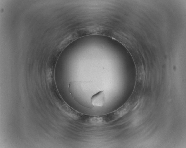 X0000076390279200610161148