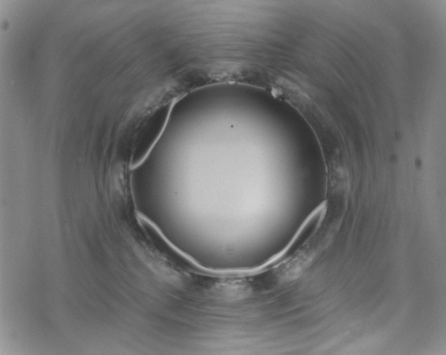 X0000076390280200610161148