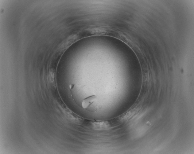 X0000076390281200610161148