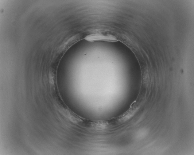 X0000076390282200610161148