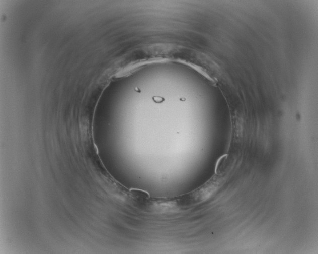 X0000076390283200610161148