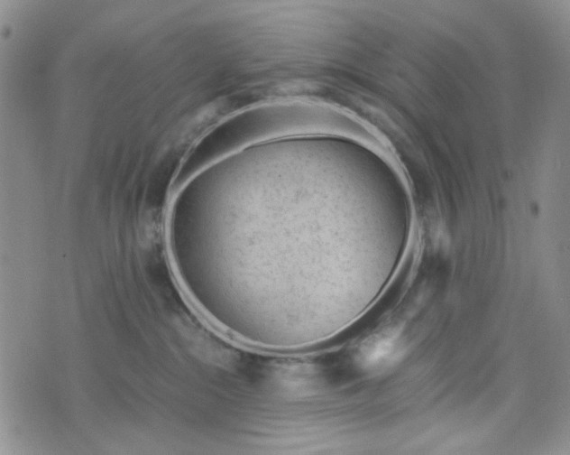 X0000076390284200610161148