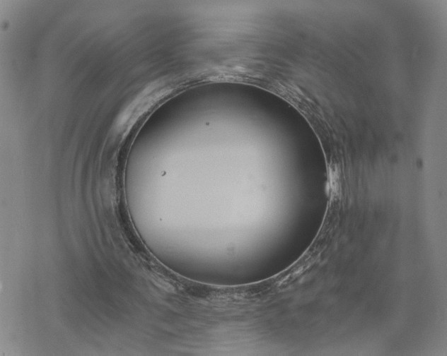 X0000076390291200610161147