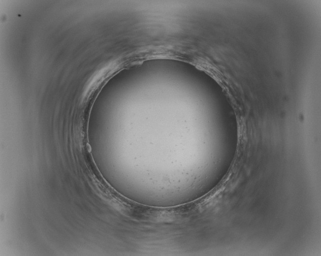 X0000076390293200610161147