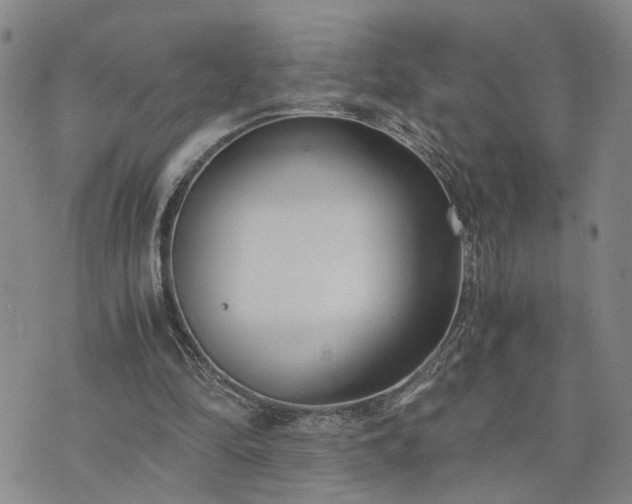 X0000076390294200610161147