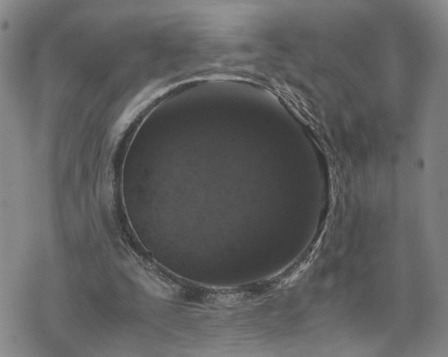 X0000076390295200610161147