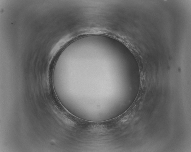 X0000076390296200610161147