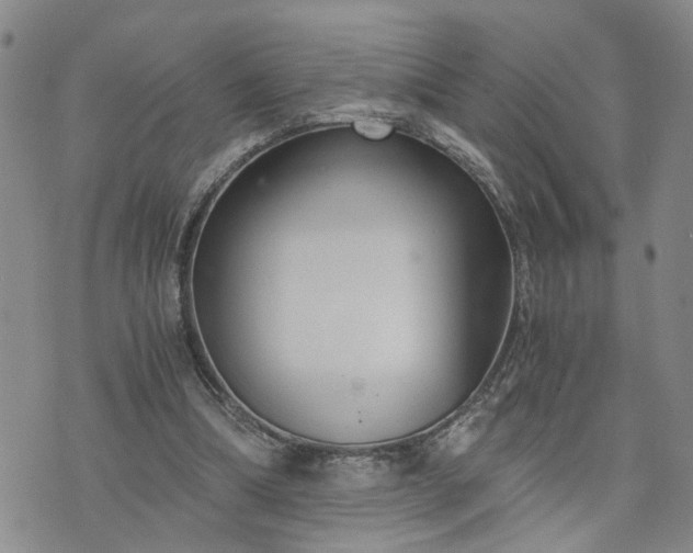 X0000076390298200610161147