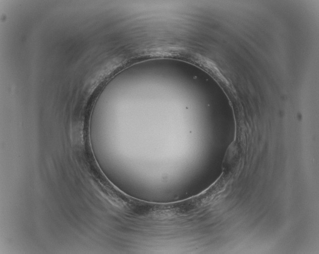 X0000076390299200610161147