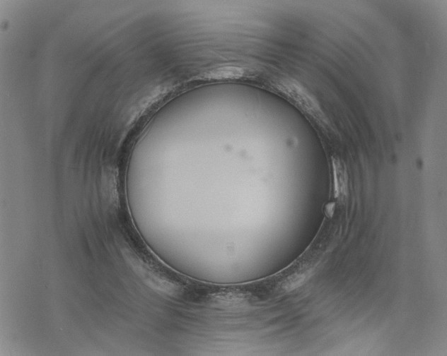 X0000076390300200610161147