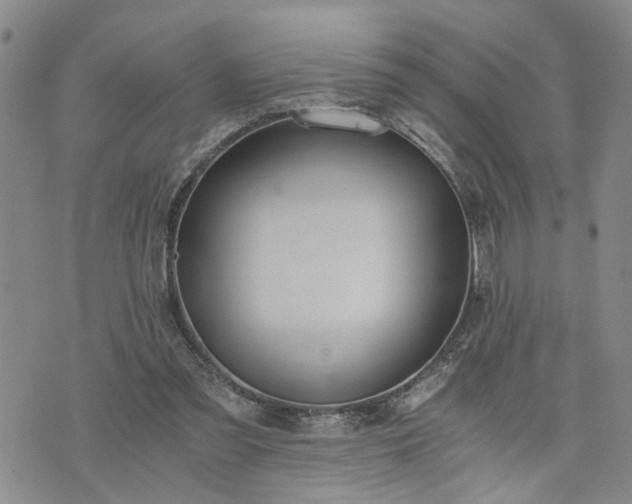 X0000076390301200610161147