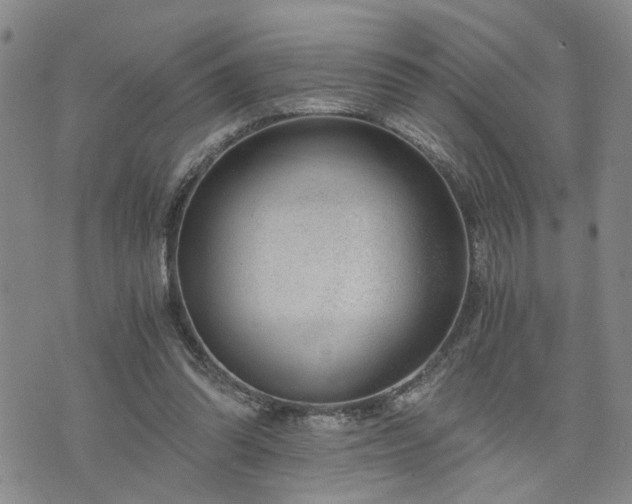 X0000076390302200610161147