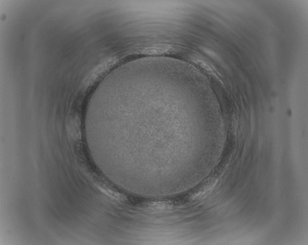 X0000076390303200610161147