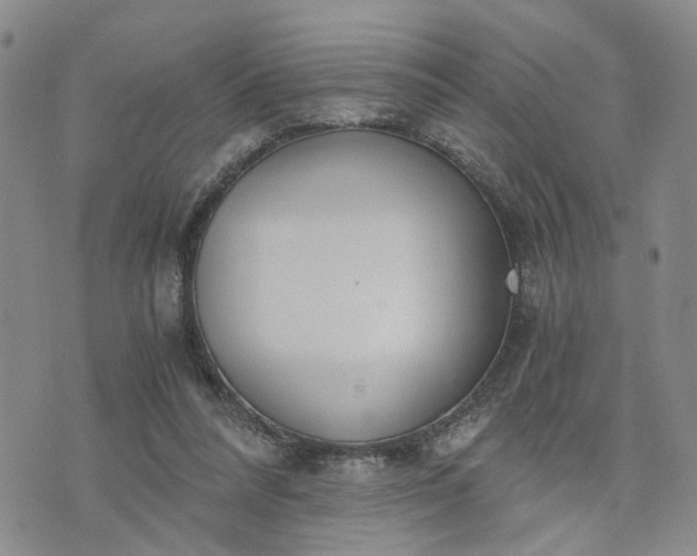 X0000076390304200610161147