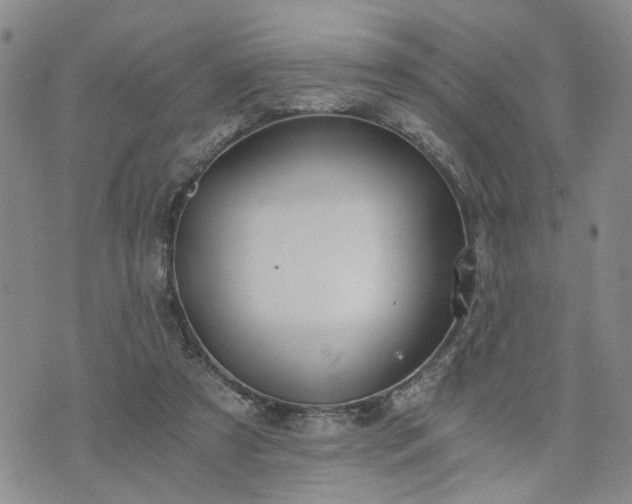 X0000076390305200610161147