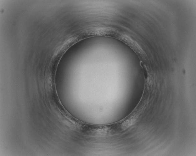 X0000076390306200610161147