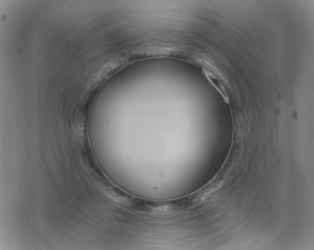 X0000076390309200610161147