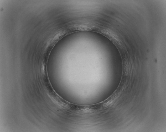 X0000076390310200610161147