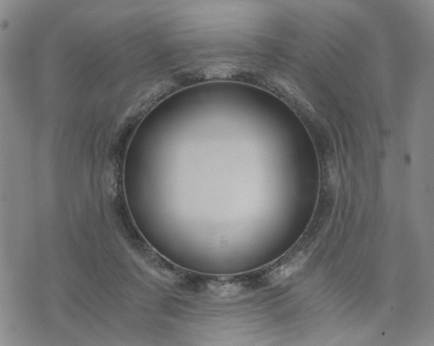 X0000076390311200610161147