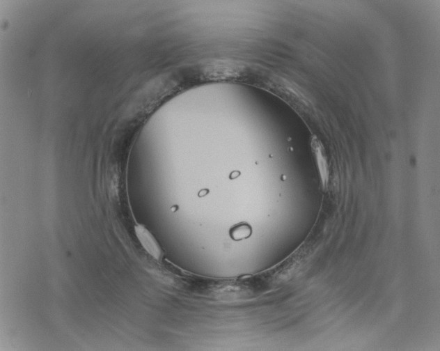 X0000076390315200610161147