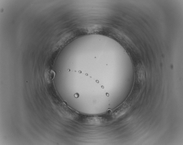 X0000076390316200610161147