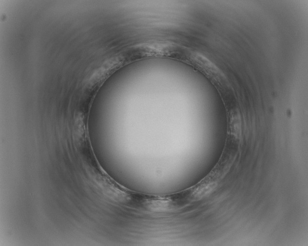 X0000076390318200610161147