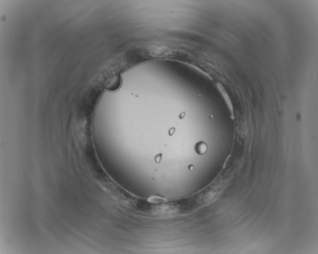 X0000076390319200610161146