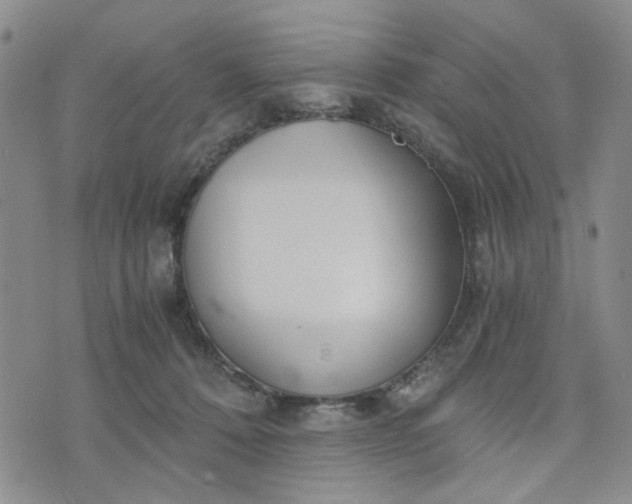 X0000076390320200610161146