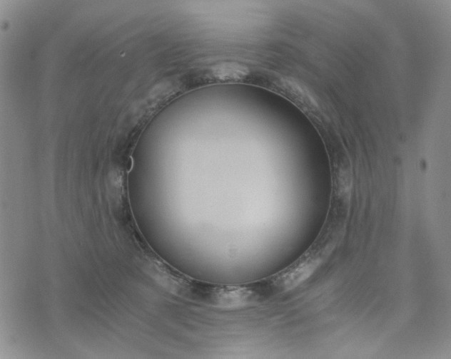 X0000076390321200610161146