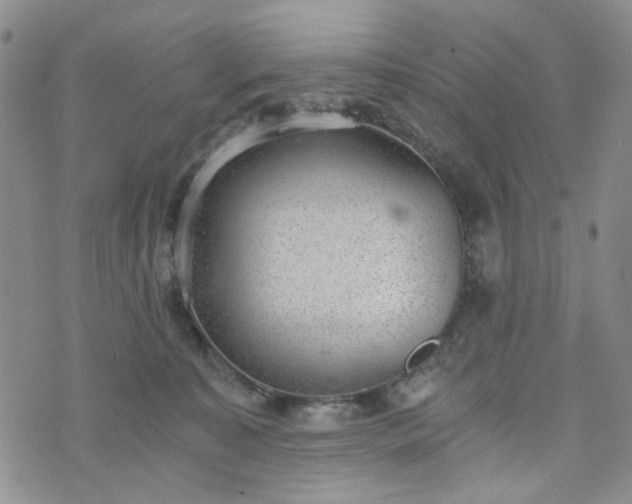 X0000076390323200610161146